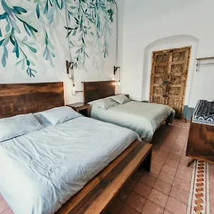 Casa Jaguar By Rotamundos México